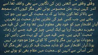 Urdu novel 