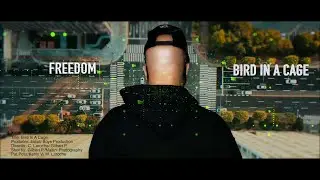 Freedom - Bird In A Cage (Official Video)