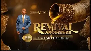 Bishop DR. C. Nyathi - The Governmental Anointing