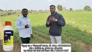 Sumitomo chemical products ORMI review Cumin crops #farming #sumitomo #agriculture #fungicides 