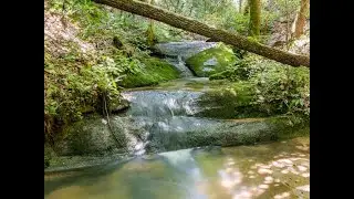 Homes for Sale in Asheville (Listings# 3633725)