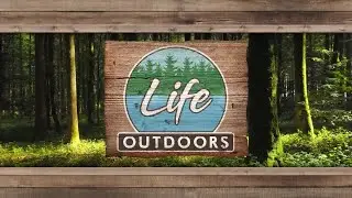 Dog Agility | Life Outdoors