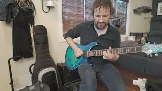 PRS SE Custom 24 Semi-Hollow Piezo - Mini-Toggle Switch Install