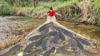 This is the full video of Lam's 15-day fishing trip to a large stream. He caught a lot of fish.