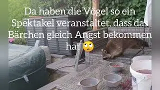Traute Zweisamkeit-B&auml;rli & ich