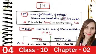 pH Scale | Class 10 Science |questions on pH 
