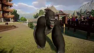 Gorilla | Planet Zoo Animals