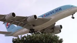 Korean Air Airbus A380-800 [HL7622] landing at LAX (LAX/KLAX)
