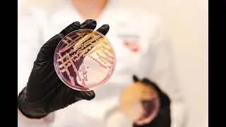 Medyk Laboratoria