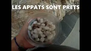 P&ecirc;che du Sar et de l'Oblade &agrave; la crevette en soir&eacute;e et de nuit