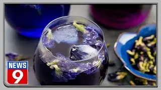 Health benefits of Blue Shankhpushpi flower tea