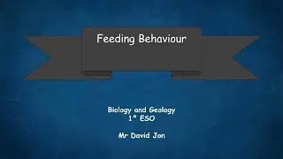 Feeding behaviour