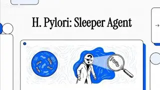 Helicobacter Pylori (H.pylori) Sleeper agent,ANew battle plan.