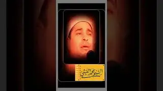 إبراهيم كفر شلشلمون الشيخ محمد الليثي يثبت الله الذين ءامنوا