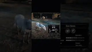 RDR2 &bull; All Appaloosa Horse Colors and Locations &bull; Red Dead Redemption 2