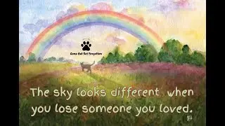 In The Arms of an Angel - Pets & The Rainbow Bridge