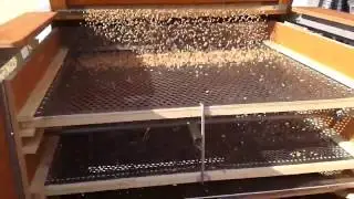 Pulitore Sementi e Cereali Olimpia - Imbriano Macchine Agricole