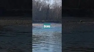 Drava river
