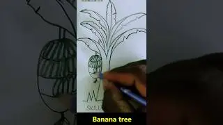 banana tree Drawing | kolagas Drawing #banana #tree #drawingtechniques