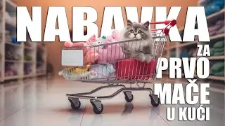&Scaron;ta vam je sve potrebno za dolazak prvog mačeta u va&scaron; dom
