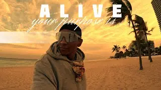 🔥your purpose is&hellip; A L I V E💯 (Powerful Content)
