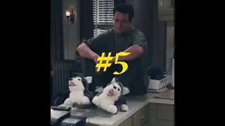SAD KARMA 5