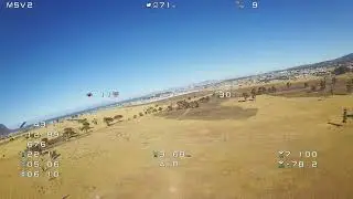 Ruben foamie and quad