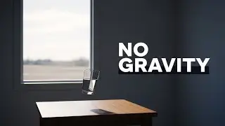 Life On Earth Without Gravity