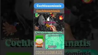 Cochlosomiasis in Ducks & Turkeys,Cochlosoma anatis,Flagellated protozoan parasite👍Parasitology👍🔬✅