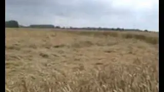 Cropcirkel Brussegem