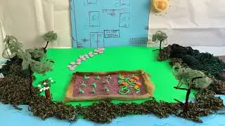 Stop Motion Video: Rebuild Hunger Challenge!