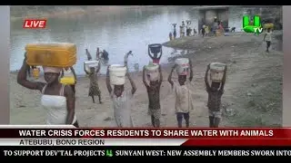 Atebubu: Water Crisis Forces Residents To Share Water With Animals