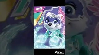 paw patrol Everest