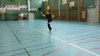 Southern Shaolin, Ng Ga Kuen, Snake form