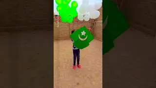 Pakistan Flag Kite Love of Kite Flying #LahoreBasant #kiteground #kiteday #internationalkitefestival
