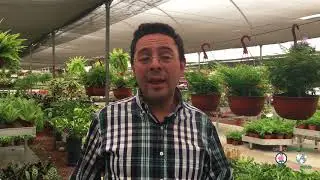 Visita de estudiantes de la Universidad de Chapingo a Floramundo Xochimilco 18-08-18