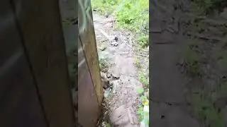 Urbex exploring gone wrong&hellip;. #abandoned #mtb #ai #mountainbike #fypシ゚viral #viralshort #trending