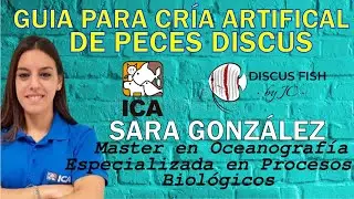 Cr&iacute;a Artificial peces Discus, SARA GONZ&Aacute;LEZ