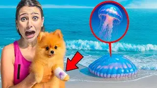 MINHA CACHORRINHA FOI ATACADA POR UMA ÁGUA VIVA!! *O PIOR ACONTECEU*