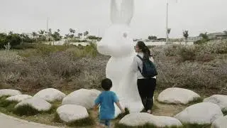 Bunnyhenge Orange County |Cloudy Day | BMPCC4K