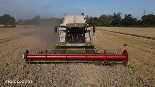 4Kᵁᴴᴰ Harvest 2023: Nat and his Claas Lexion 570 cutting wheat in Suffolk