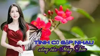 TÌNH CỜ GẶP NHAU sáng tác Mây Tím 