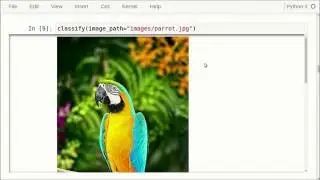 TensorFlow Tutorial #07 Inception Model