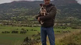 Milou et Simon Episode 1