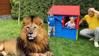 Mike and Dad running away from lion monkey and duck