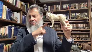 ¿Una loba amamantó a Rómulo y Remo? Martín Hurtado