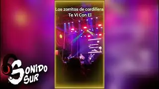 Los Zorritos De Cordillera (Te Vi Con El) 🎵🎶Sonido Sur Oficial 🎵lo nuevo