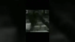 Dex Varga-Murphy Sigma Jumpscare #edit #sigma #jumpscare