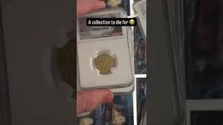 Some of our most recent pickups - Spanish gold and silver and shipwrecks 😍 We specialize in