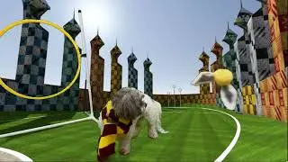 Bode's Quidditch Adventure!